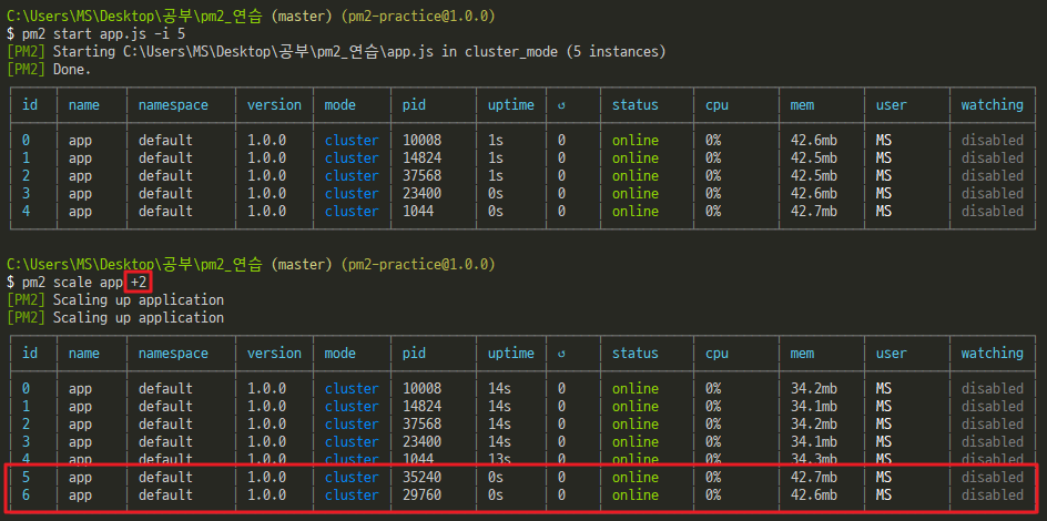 nodejs-pm2