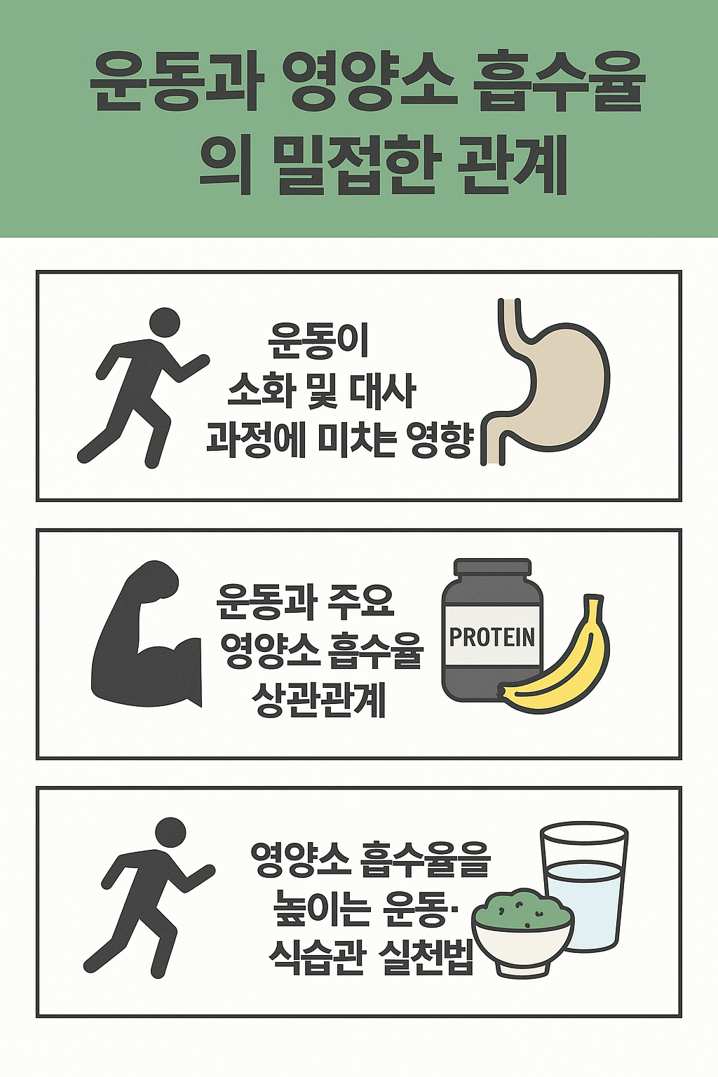 운동과 영양소 흡수율의 밀접한 관계