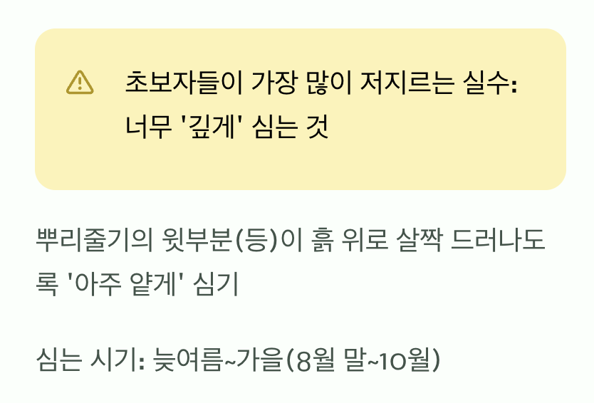 성공을 좌우하는 '얕게 심기'의 기술