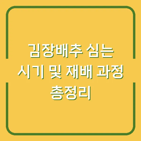 김장배추 심는 시기 및 재배 과정 총정리
