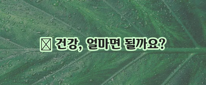 고양이 예방접종 비용 건강한 고양이 위한 필수 투자입니다!