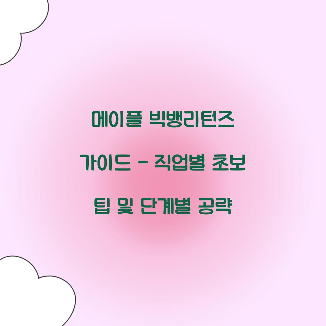메이플 빅뱅리턴즈 가이드