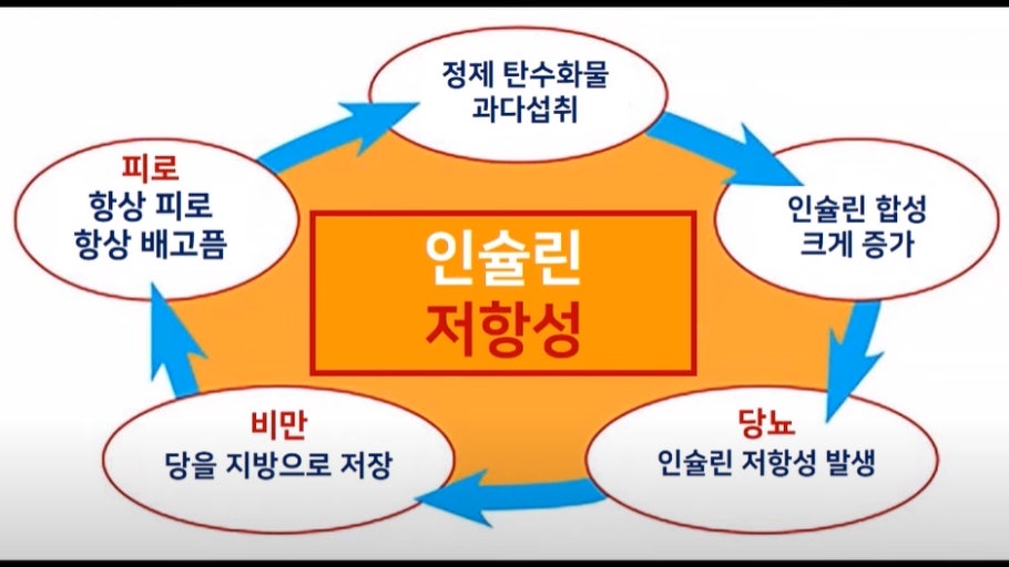 인슐린 저항성 낮추는 방법 관련 사진
