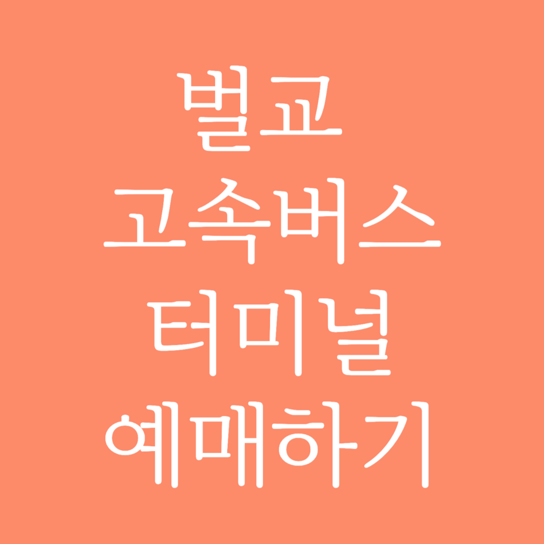 벌교 고속버스터미널 시간표조회 및 예매하기