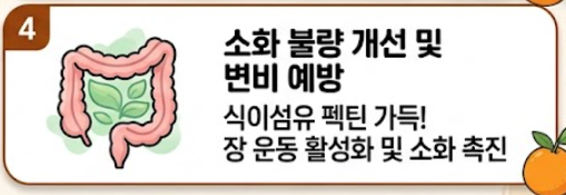 오렌지 효능