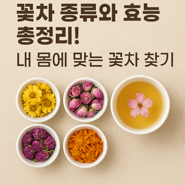 꽃차 종류와 효능 총정리! 내 몸에 맞는 꽃차 찾기