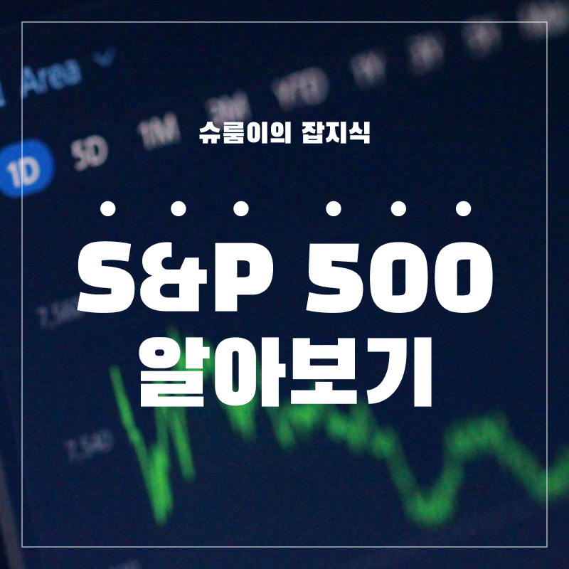 S&P 500