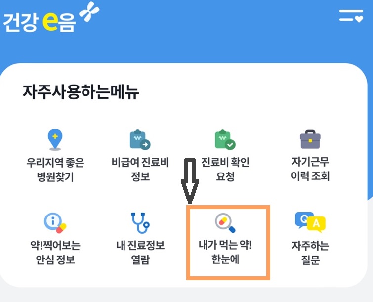 내가 먹는약 한눈에 알기