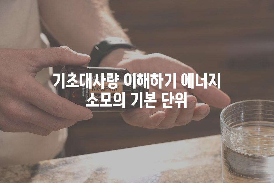기초대사량 이해하기 에너지 소모의 기본 단위
