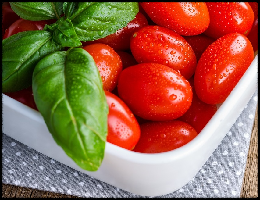 토마토 관련 이미지13