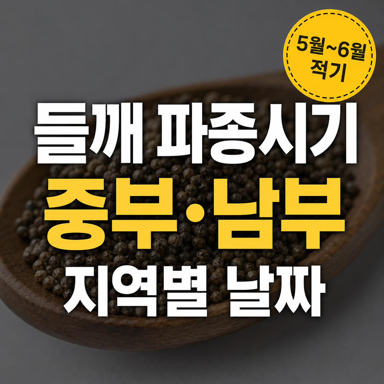 들깨 파종시기 총정리 (2026 중부&middot;남부&middot;북부 지역별 날짜)