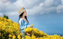 8월 국내여행지 추천