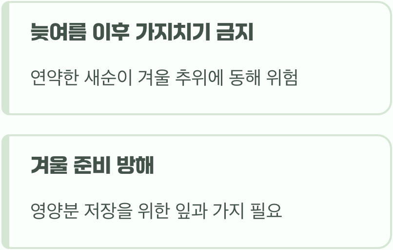 가지치기 최악의 시기, '늦여름과 가을'