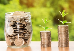 보건증_인터넷_발급_비용_항목_1