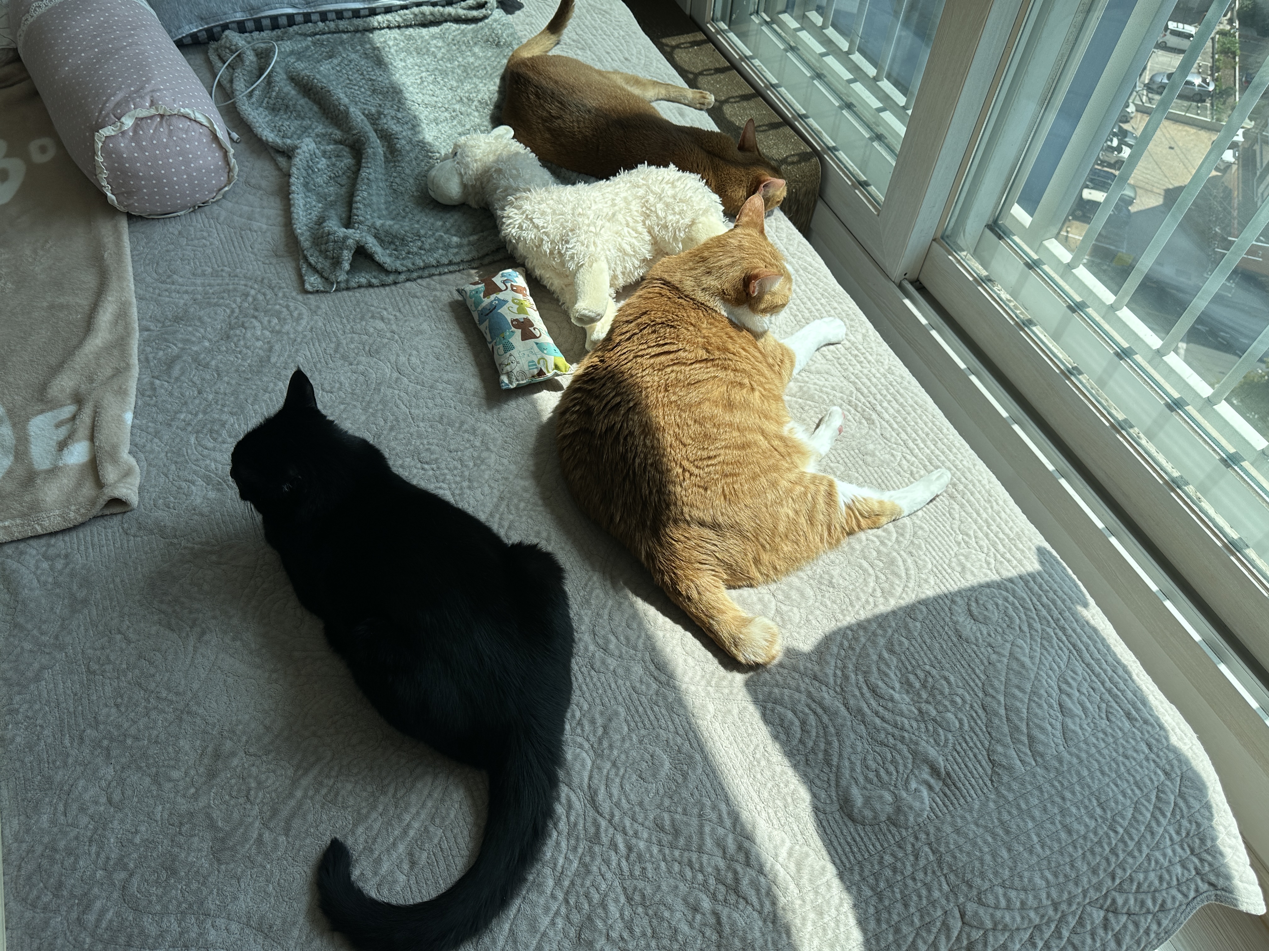 건이와_호야와_루나