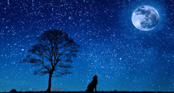 청와대 관람신청 한번에 해결 18