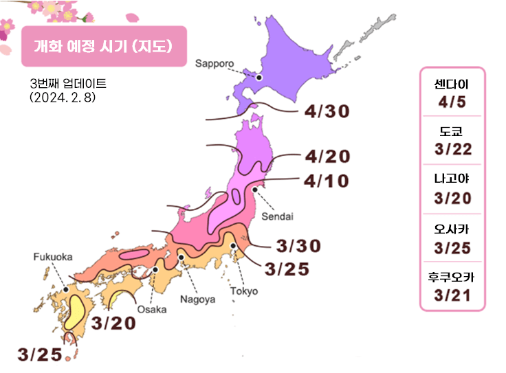 2024 일본 벚꽃 여행 개화시기