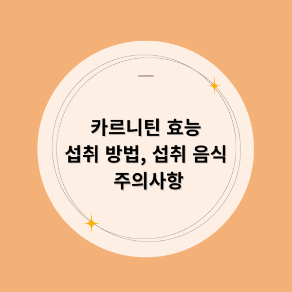 카르니틴 효능, 섭취 방법, 섭취 음식, 주의사항