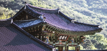 한국의 절은 왜 산 중턱에 있을까? 지형과 신앙의 관계