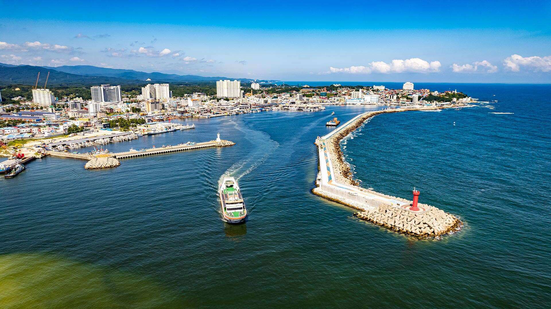 강릉 사근진 해변 유채꽃밭