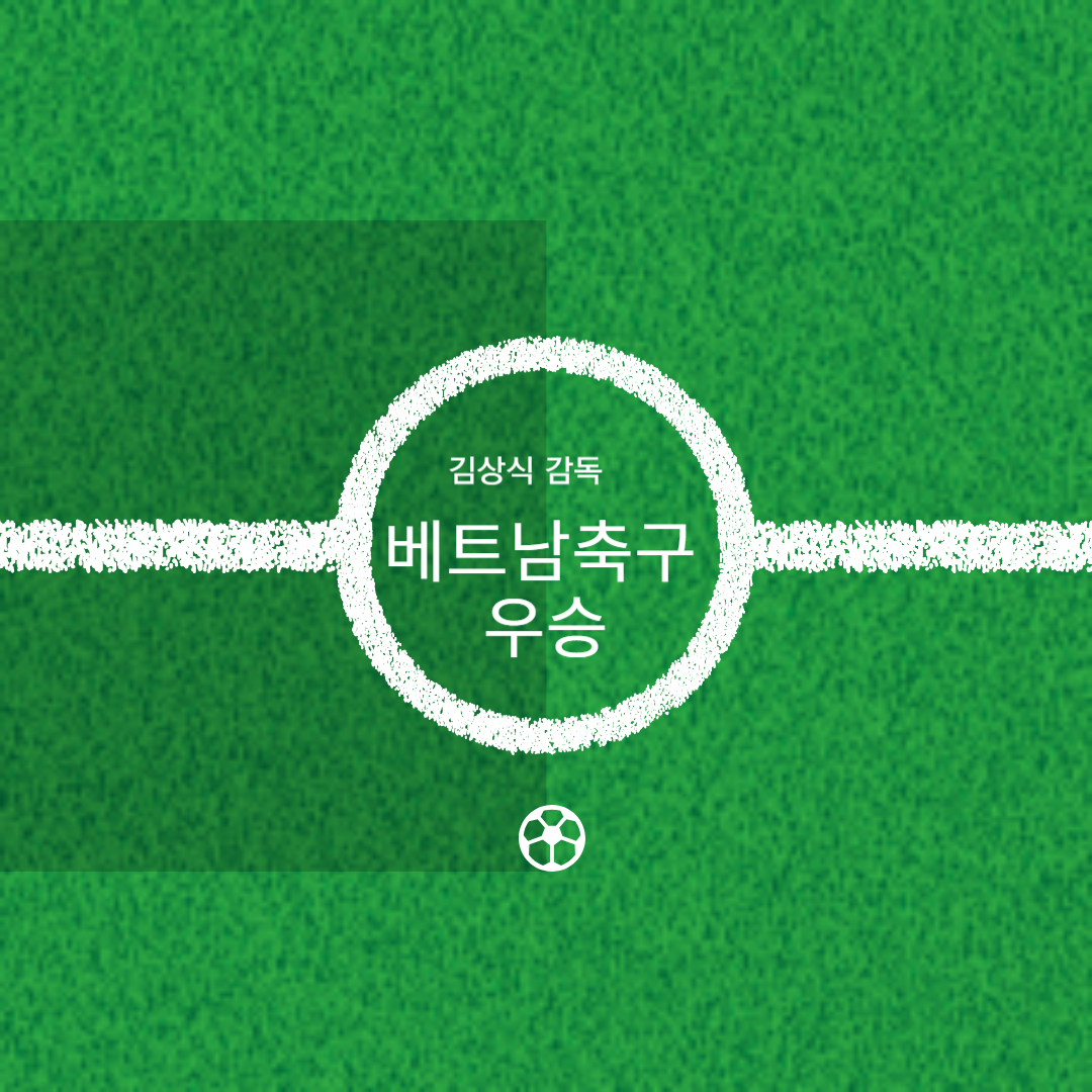 베트남 축구 우승 하이라이트