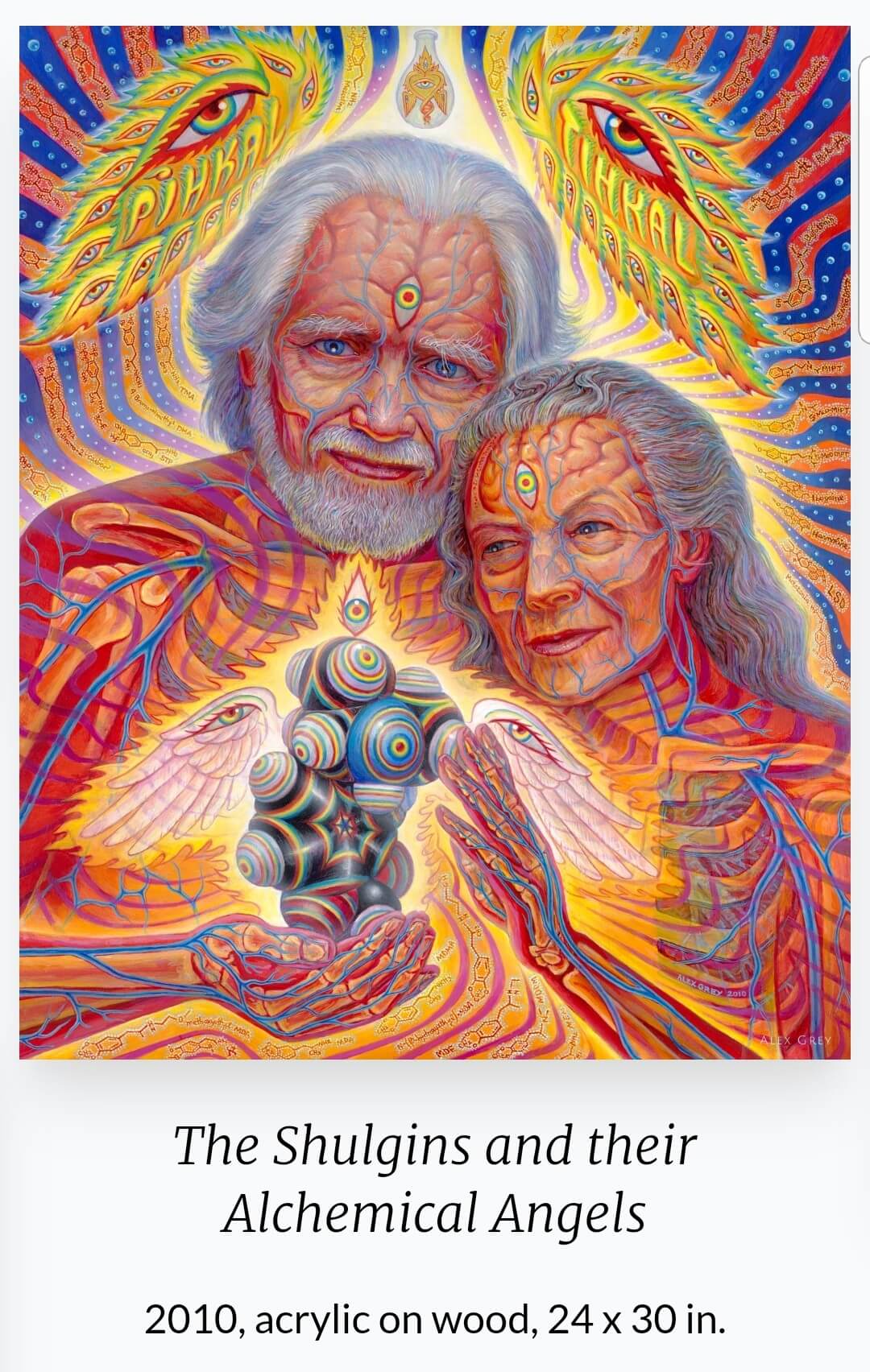 Alex Grey (1953~ ) 작품 'The Shulgins and their Alchemical Angels'