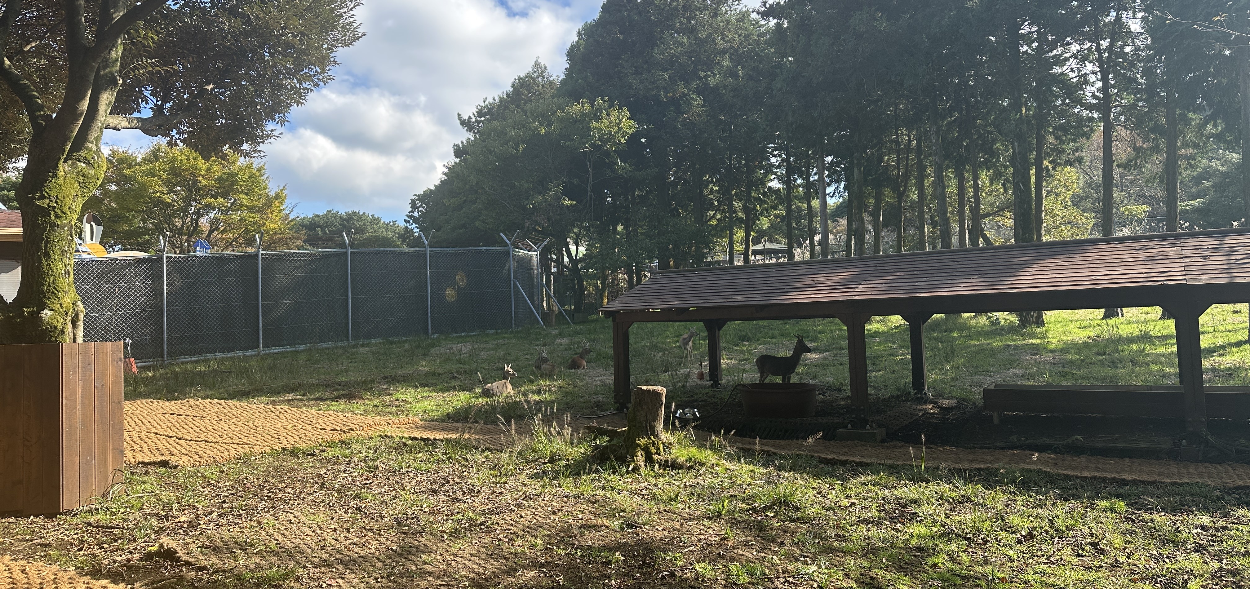 노루 먹이주기 체험장