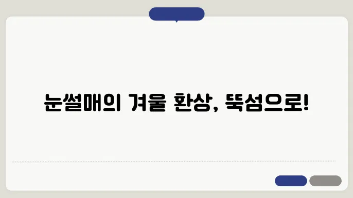 서울 뚝섬 눈썰매장 개장 정보 실시간 겨울방학 가볼만한곳