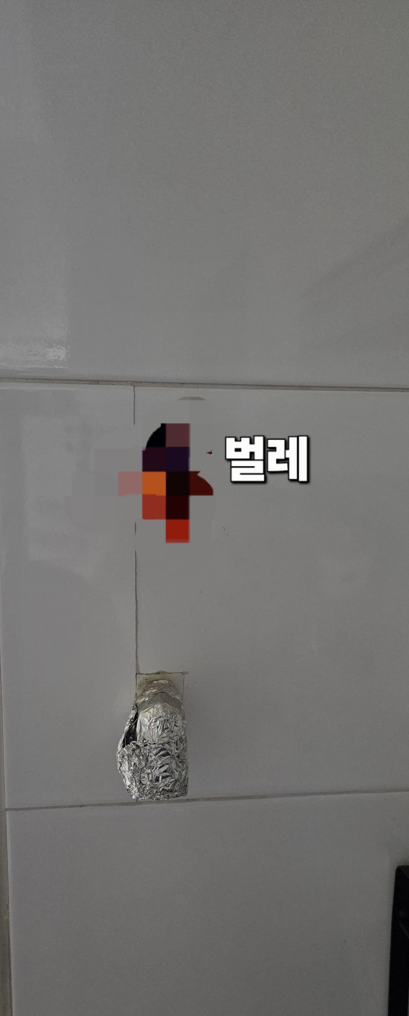 바퀴벌레-없애는법-잡는법-안내-바퀴벌레가-기어가는-바닥-또는-벽면에-던집니다.