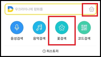 다음 어플로 꽃 이름 찾는 방법