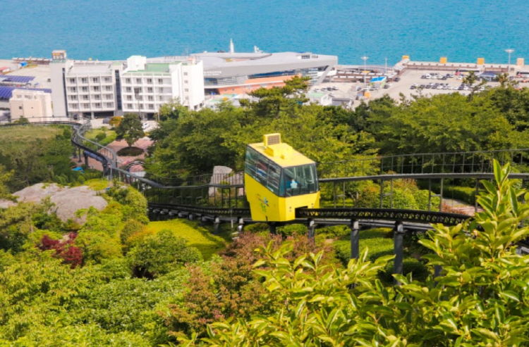 완도 타워