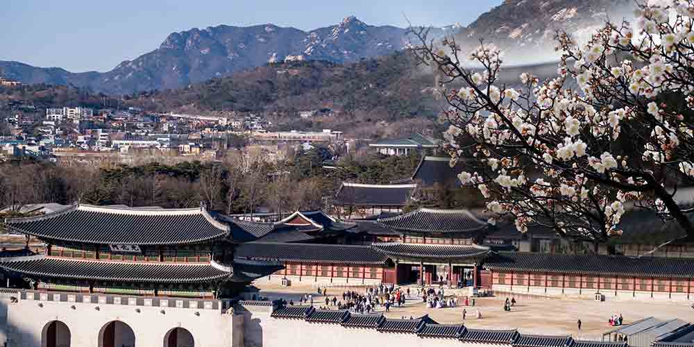 서울 경복궁과 도시