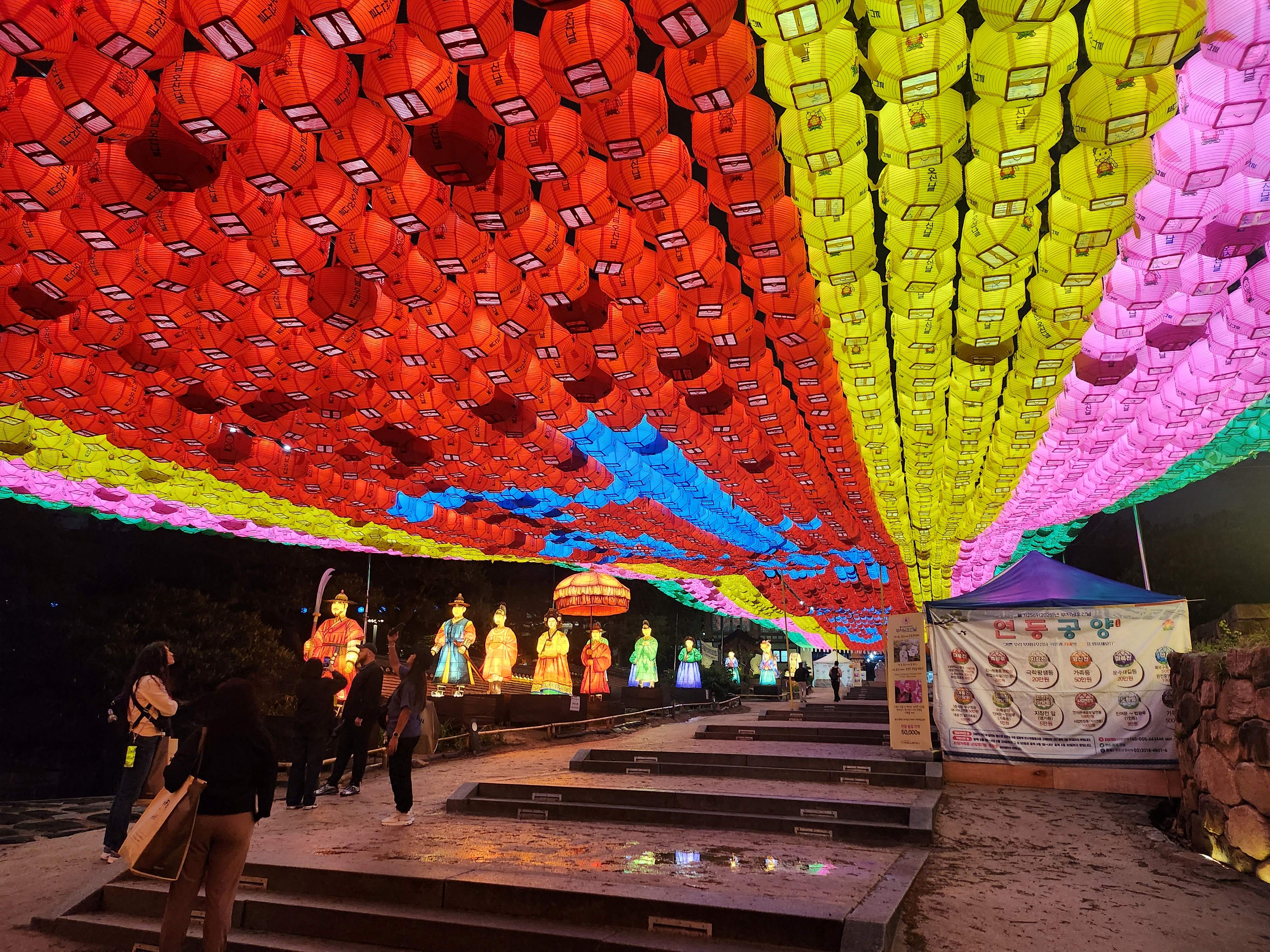 2025. 4. 19. 봉은사 연등제 야경 산책 후기 (겹벚꽃, 라일락, 홍매화 개화상황 포함)
