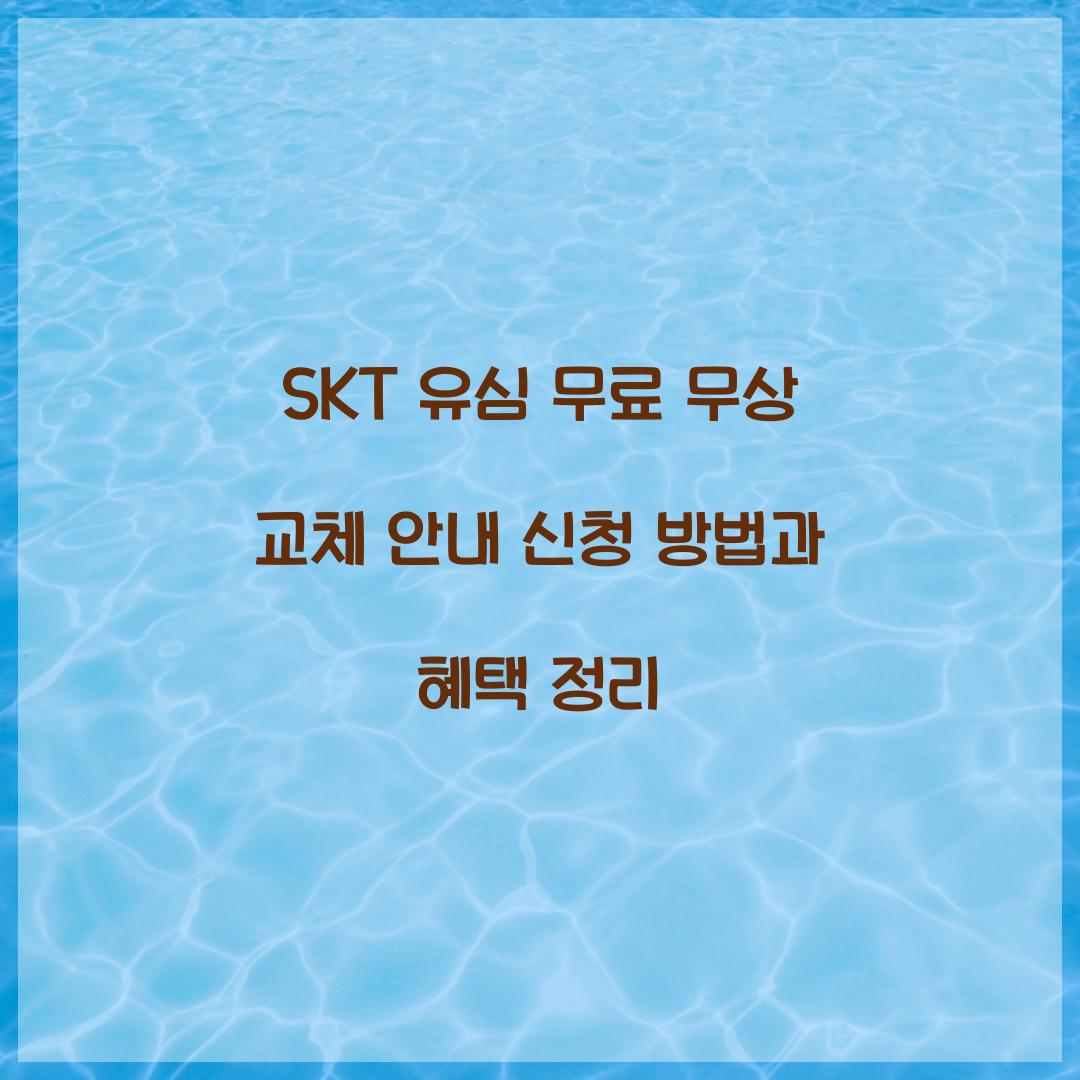 SKT 유심 무료 무상 교체