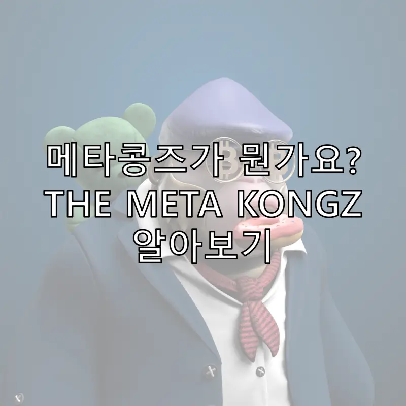 메타콩즈 NFT