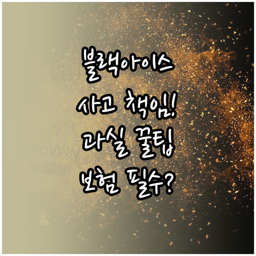 블랙아이스 사고 보험 처리 절차와 과..