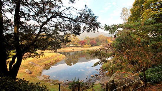 [아이 동반, 서울 근교 여행지]경기도 포천 서운동산｜딸기, 블루베리, 옥수수, 먹이주기, 밤줍기 등 체험 가득한 가족 여행지