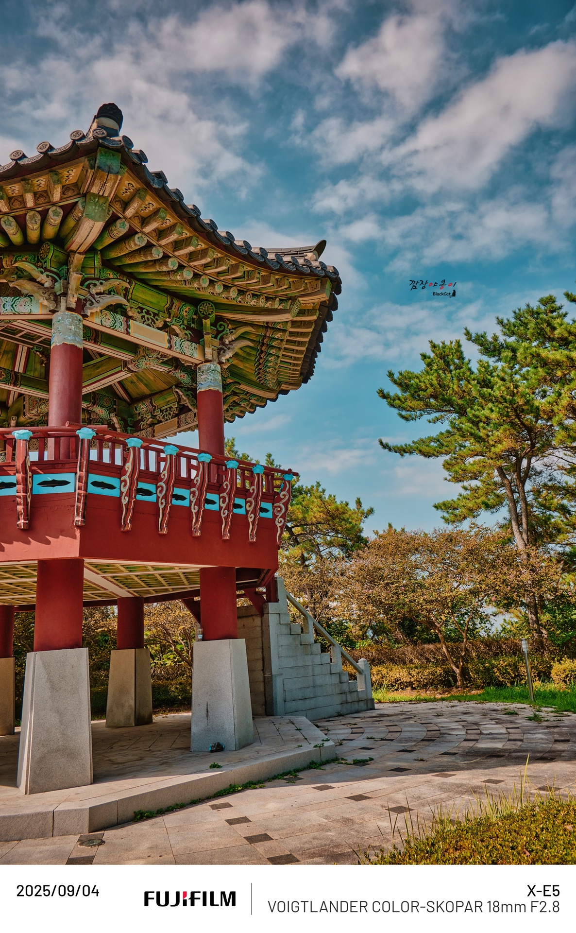 (후지 X-E5) 마천루/바다/해변열차를 내려다 볼 수 있는 해운대 청사포 '해마루'