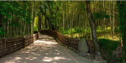 5월 국내여행지 베스트 10