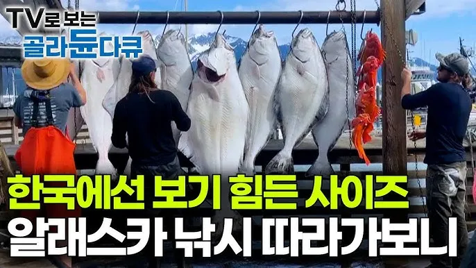 낚시 잡은 고기 보관법 아이스박스 얼음 해수 관리 요령_5