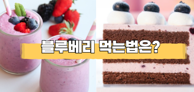 블루베리 먹는법 (생으로, 냉동으로) 보관방법 총정리