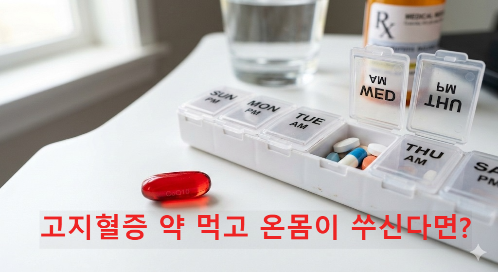고지혈증 약 부작용을 예방하고 심장 건강을 돕는 코엔자임Q10 영양제