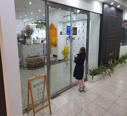 밤비플린