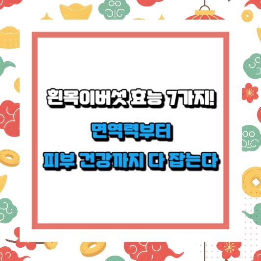 흰목이버섯 효능 7가지! 면역력부터 피부 건강까지 다 잡는다