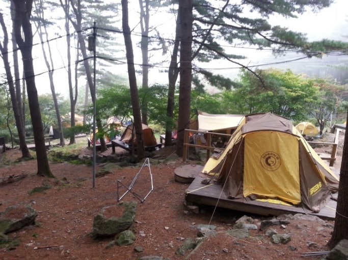 서울 근교 자연휴양림 TOP3