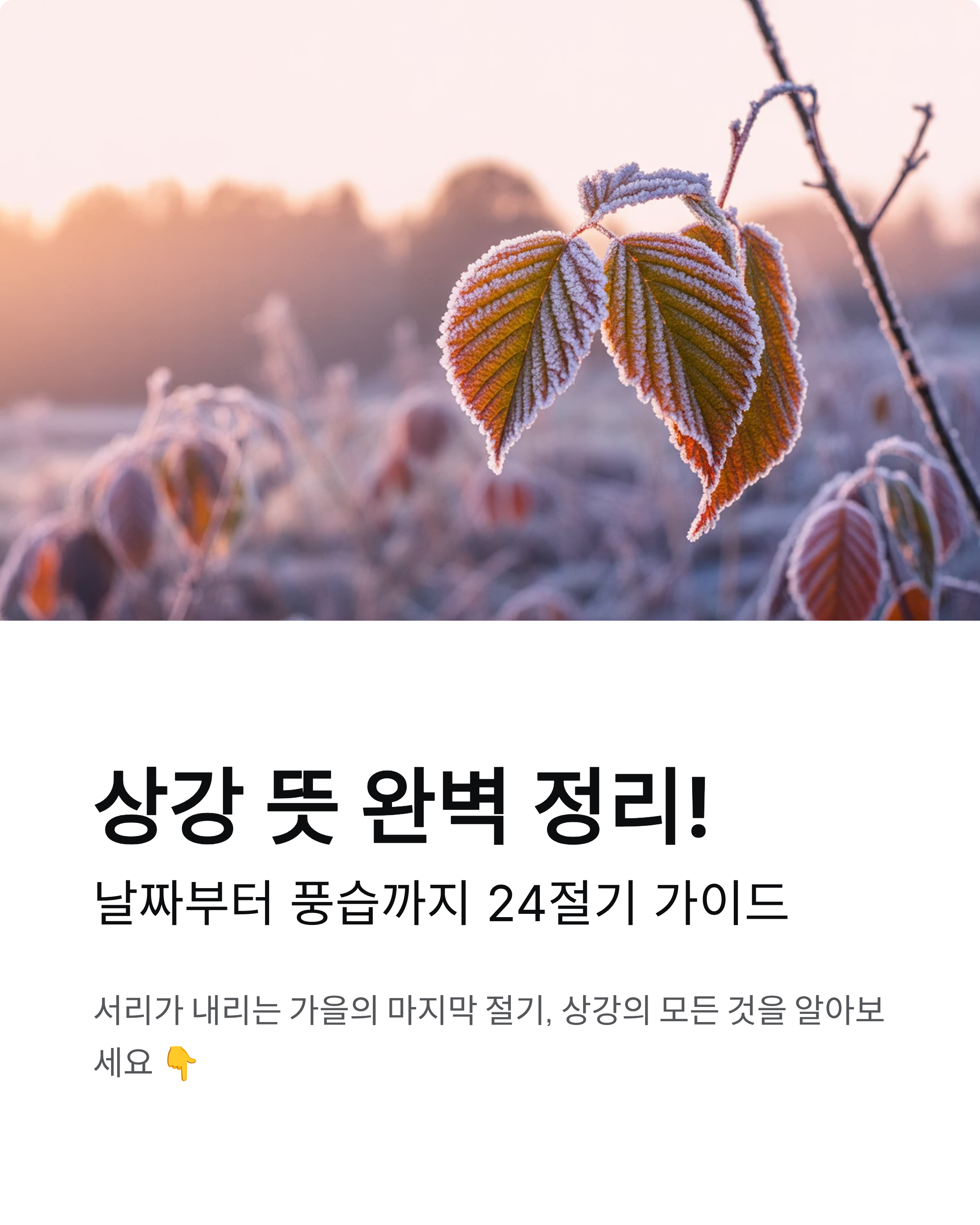 상강 뜻, 가을의 끝자락에서 겨울을 준비하는 24절기 이야기
