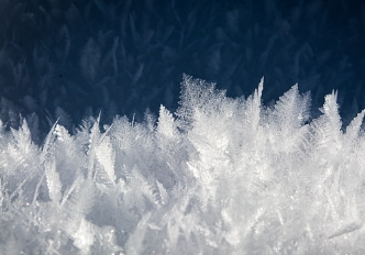 겨울철 무우보관법