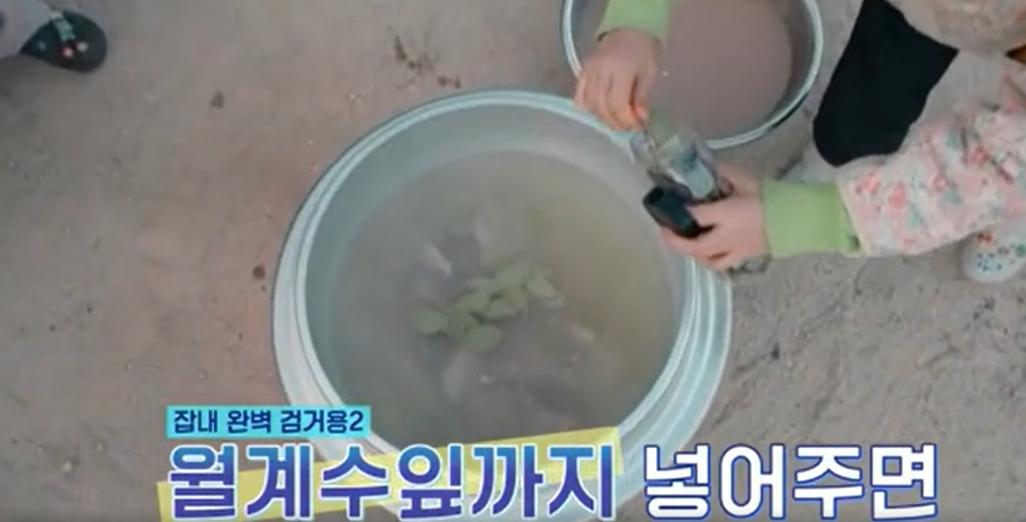 언니네산지직송 시즌2 염정아 감자탕 레시피