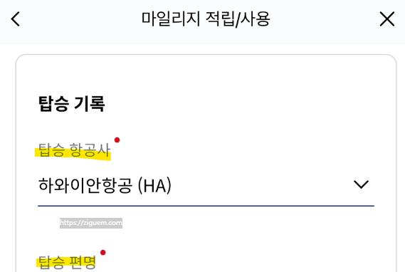 하와이안 항공 수화물