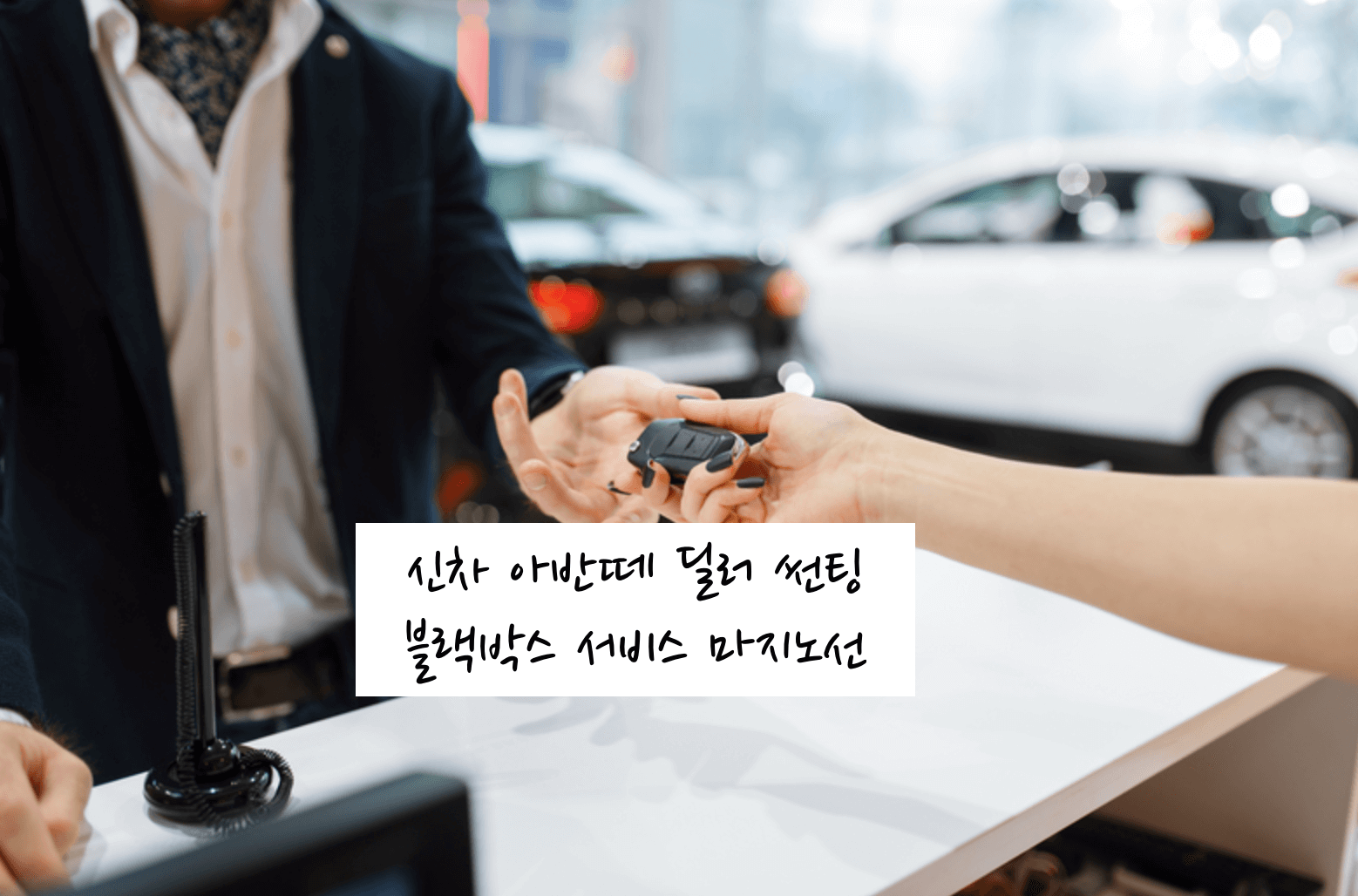 신차 딜러 서비스